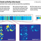 Image for article titled Scientists Create Eerie Ambient Music Using Human Brains, MRI Machines